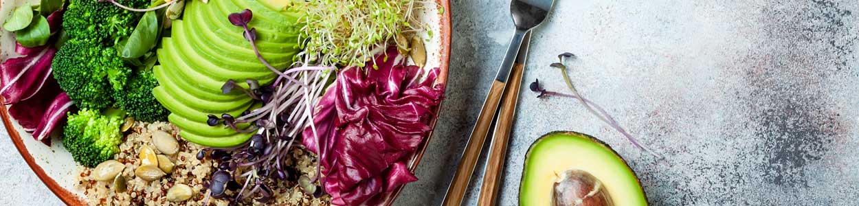 How to Sprout in Sprouting Jar | Sprouting Concept Photo