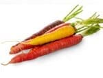 Carrot Rainbow Vegetable Seeds | Seedmart Australia