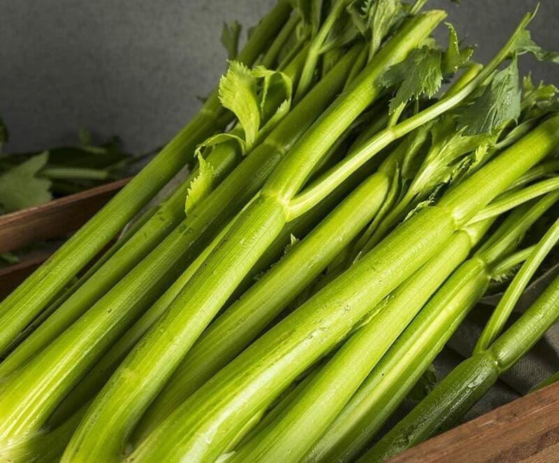 Celery Stalks