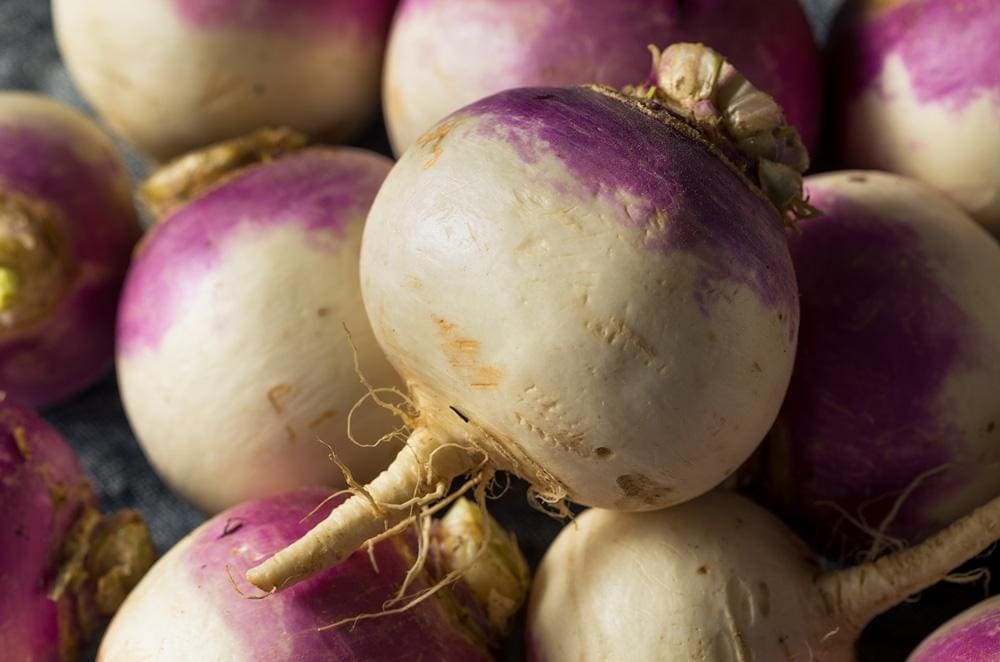 Turnip Purple Top