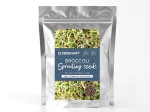 Organic Sprouting Seeds Australia: Boost Your Health Naturally