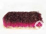 Red Amaranth | Living Microgreens | Seedmart