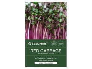 Red Cabbage Microgreen Seeds