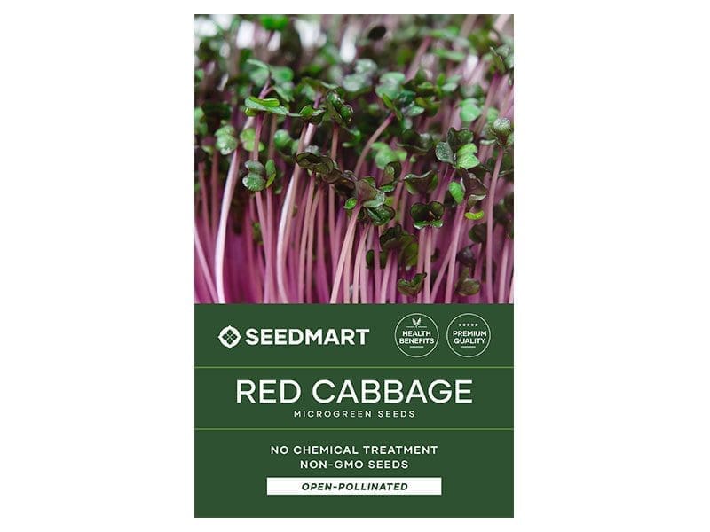 Red Cabbage Microgreen Seeds