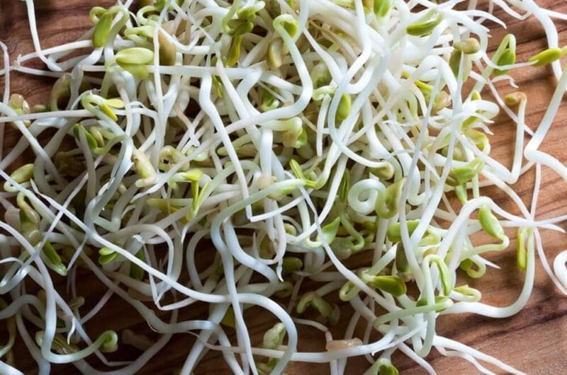 Fenugreek Sprouts