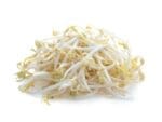 Mung Bean Sprouts