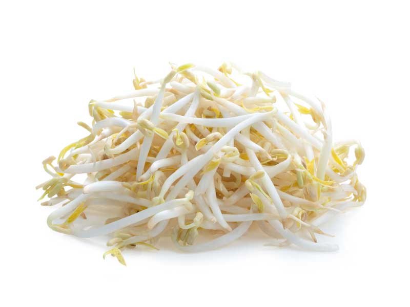 Mung Bean Sprouts