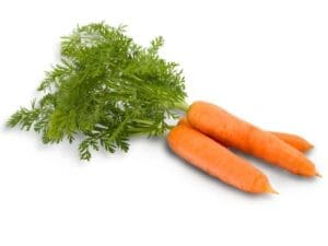 Carrot_Nantes_Vegetable_seeds