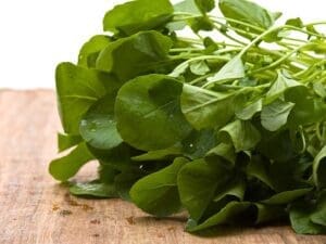 Cress Upland