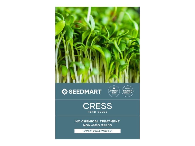 Cress Curled Herb Seed Packet | Seedmart Australia