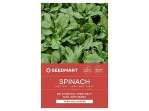 Spinach Viroflay Vegetable Seeds | Seedmart