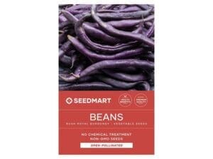 Beans Royal Burgundy Vegetable Seeds | Seedmart
