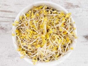 Broccoli Sprouting Seeds