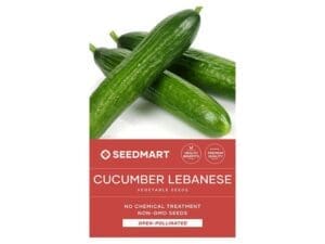 Cucumber Lebanese Vegetable Seed Packet | Seedmart