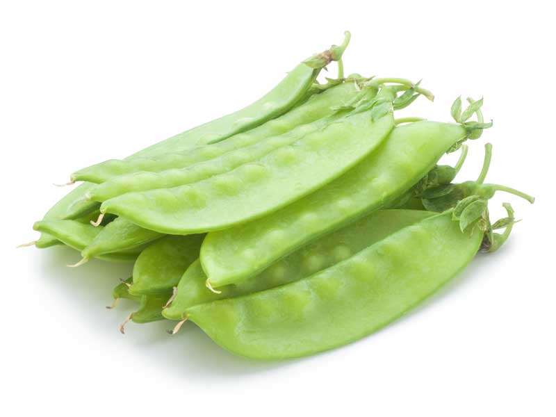 Snow Pea Yakumo Vegetable Seeds