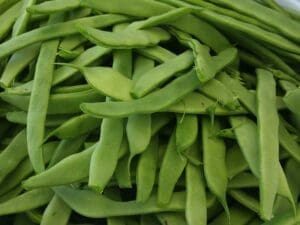 Bean Kentucky Wonder