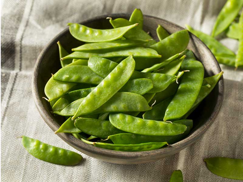 Snowpea Yakumo Vegetable Seeds
