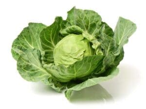 Cabbage Copenhagen Market | Seedmart Australia