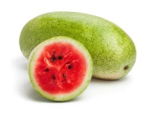 Watermelon Charleston Grey | Isolated | Seedmart Australia