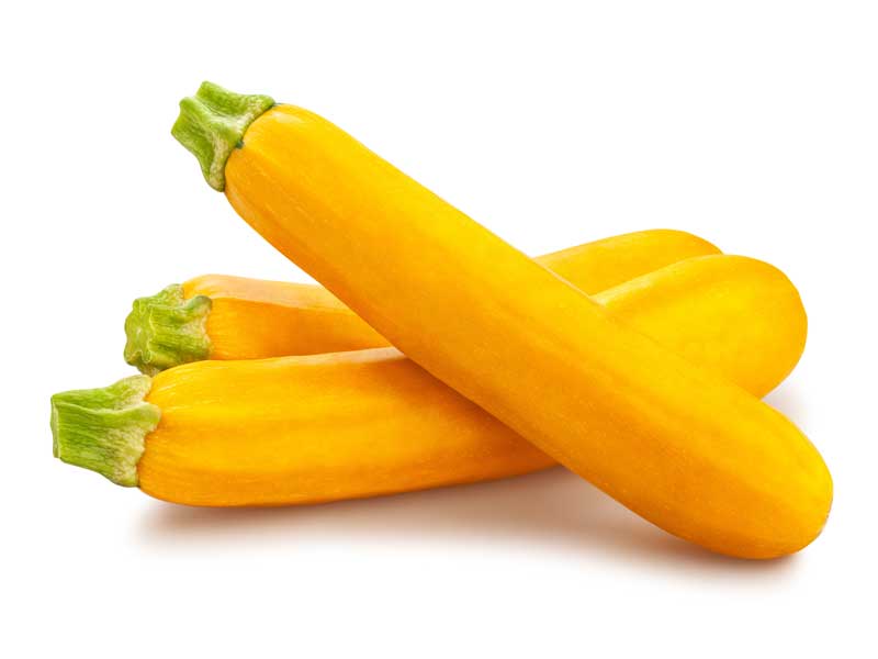 Zucchini Golden Vegetable Seeds | Heirloom Variety