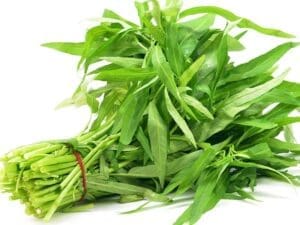Water Spinach | Kang Kong