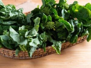 Kailaan Chinese Kale Broccoli