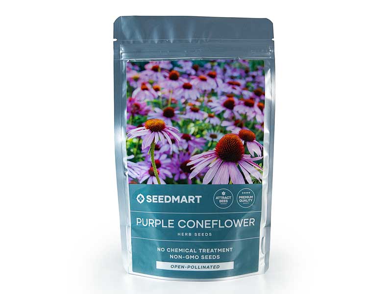 Purple Coneflower Herb Seeds Packet | Seedmart Australia