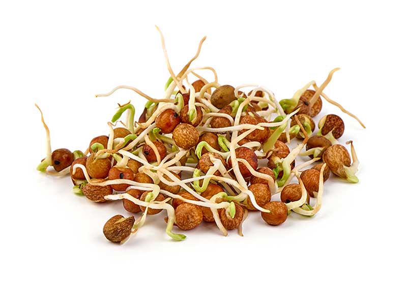 Pea Sprouting Seeds | Seedmart Australia | Isolated