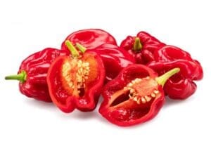 Chilli Red Habanero | Seedmart