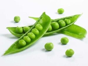 Cascadia Pea Vegetable Seeds