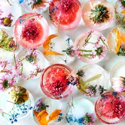 Edible Flowers Ice Cubes Concept