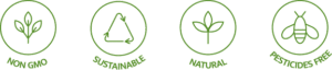 Organic & Natural Vegetable Seeds