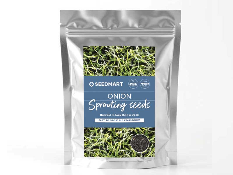 Onion Sprouting Seeds | Foil Packet | Seedmart Australia