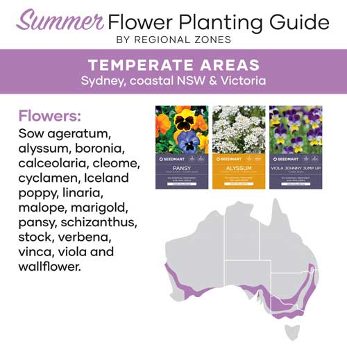Summer Flower Planting Guide | Temperate Zone Australia