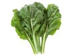 Spinach Chard Perpetual Seedmart Australia | Isolated