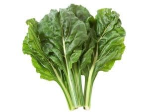 Spinach Chard Perpetual Seedmart Australia | Isolated