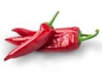 Chilli Praprika Seeds | Seedmart Australia