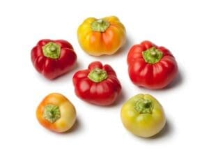 Capsicum Alma Paprika Seeds