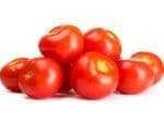 Tomato Tropic Isolated Tomato Tropic Isolated