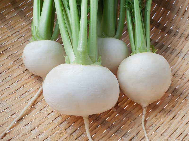 Turnip Japanese Market