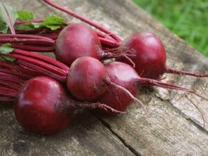 Beetroit Detroit Red Seeds | Seedmart Australia