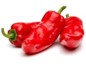 Capsicum Perennial | Isolated | Seedmart Australia