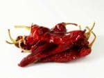 Chilli Kashmiri Seeds | Isolated