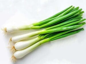 Onion Early White Vegetable Seeds