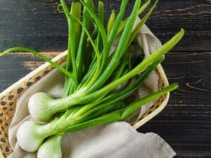 Onion Early White | Seedmart Australia