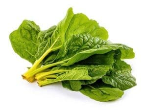 Cabbage Ethiopian Isolated