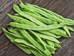 Bean Bush Italian Romano Vegetable Seeds