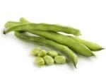 Beans Coles Dwarf Seeds | Seedmart Australia