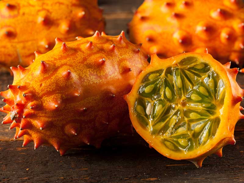 Kiwano African Horned Cucumber Seeds | Seedmart