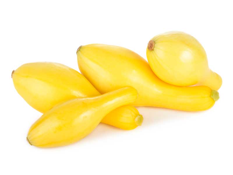 Squash Yellow Crookneck | Heirloom Variety | Seedmart Australia